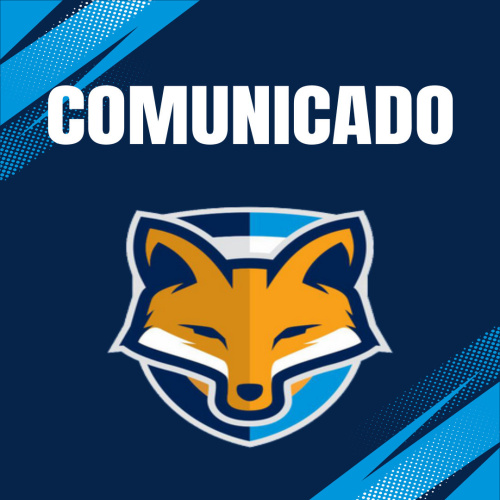 Grêmio Anápolis divulga as demonstrações contábeis referente ao exercício 2025