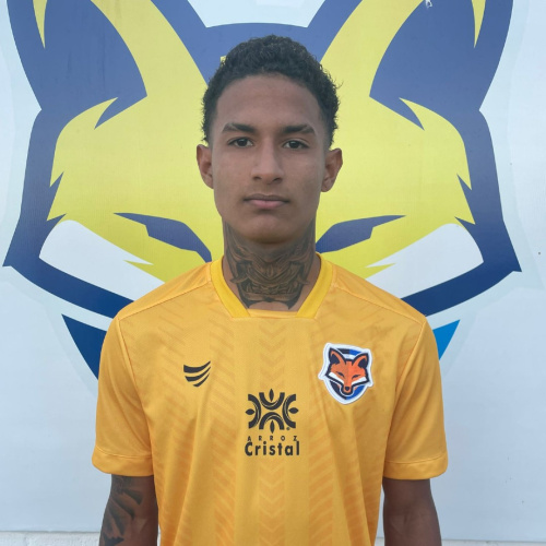 Grêmio Anápolis anuncia a contratação do goleiro Wesley Duarte, para a disputa da Copa Goiás sub-20